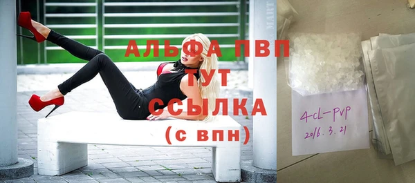 гидра Богородск