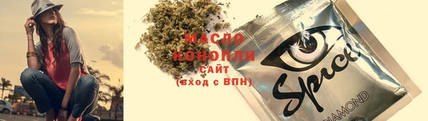 гидра Богородск