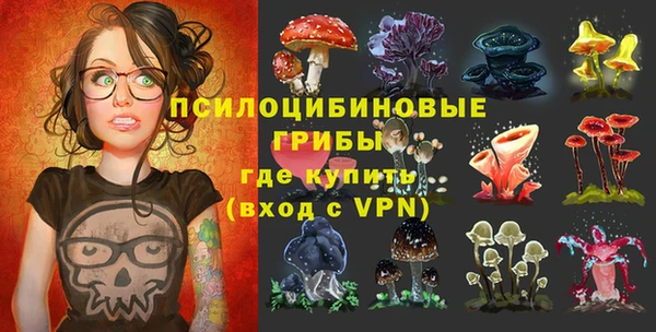 jwh Бородино