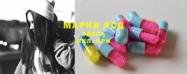 гидра Бронницы