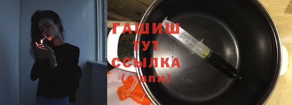 гидра Богородск