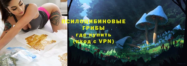 гидра Бронницы