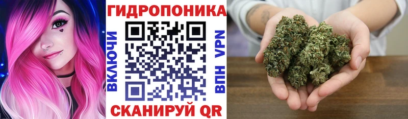 цена Мурманск Бошки марихуана Amnesia